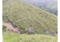 Lotes, Venta, Golondrinas - $6.000.000.000