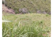 Lotes, Venta, Golondrinas - $6.000.000.000