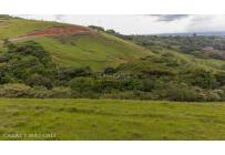 Lotes, Venta, Palmira - $650.000.000