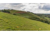 Lotes, Venta, Palmira - $650.000.000
