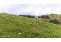 Lotes, Venta, Palmira - $650.000.000