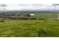 Lotes, Venta, Palmira - $650.000.000