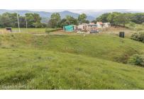Lotes, Venta, Palmira - $650.000.000