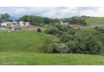 Lotes, Venta, Palmira - $650.000.000