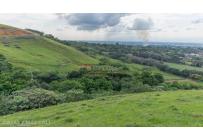 Lotes, Venta, Palmira - $650.000.000