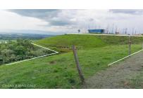 Lotes, Venta, Palmira - $650.000.000