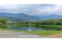 Lotes, Venta, Palmira - $650.000.000
