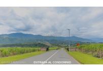 Lotes, Venta, Palmira - $650.000.000