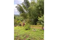 Fincas y Casas Campestres, Venta, Calima (Darién) - $450.000.000