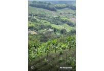 Fincas y Casas Campestres, Venta, Calima (Darién) - $450.000.000