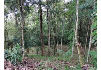 Fincas y Casas Campestres, Venta, Dapa - $530.000.000