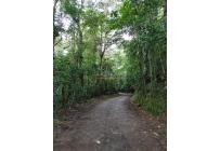 Fincas y Casas Campestres, Venta, Dapa - $530.000.000