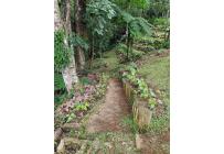 Fincas y Casas Campestres, Venta, Dapa - $530.000.000