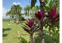 Fincas y Casas Campestres, Venta, Palmira - $2.100.000.000