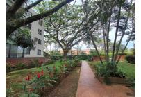 Apartamentos, Venta, Multicentro - $380.000.000