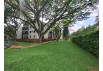 Apartamentos, Venta, Multicentro - $380.000.000