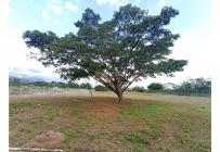 Lotes, Venta, Ginebra - $1.400.000.000