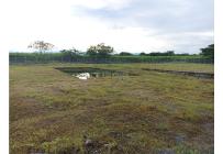 Lotes, Venta, Ginebra - $1.400.000.000