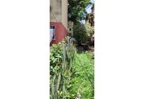 Apartamentos, Venta, Alcázares - $135.000.000