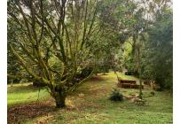 Lotes, Venta, Colinas de Miravalle - $280.000.000
