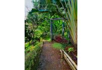 Lotes, Venta, Colinas de Miravalle - $280.000.000
