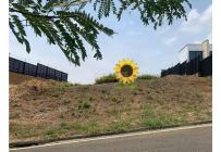 Lotes, Venta, Ciudad Jardín - $1.100.000.000