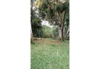 Casas, Alquiler, La Buitrera - $2.600.000