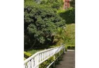 Apartamentos, Venta, Meléndez - $165.000.000