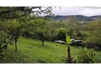 Fincas y Casas Campestres, Venta, La Cumbre - $380.000.000
