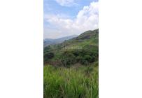 Lotes, Venta, Cristo Rey - $2.000.000.000