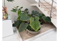 Casas, Venta, Pance - $2.750.000.000