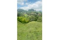Lotes, Venta, Armenia - $700.000.000