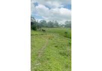 Lotes, Venta, Armenia - $700.000.000