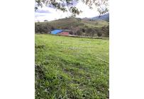 Lotes, Venta, Restrepo - $110.000.000