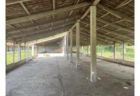 Fincas y Casas Campestres, Venta, Buga - $2.320.000.000