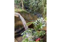 Fincas y Casas Campestres, Venta, Calima (Darién) - $1.050.000.000