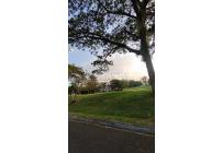 Lotes, Venta, Santander de Quilichao - $268.000.000