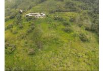 Fincas y Casas Campestres, Venta, Dagua - $610.000.000