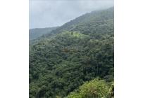 Fincas y Casas Campestres, Venta, Dagua - $610.000.000