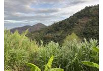 Fincas y Casas Campestres, Venta, Dagua - $610.000.000
