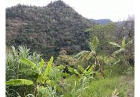 Fincas y Casas Campestres, Venta, Dagua - $610.000.000