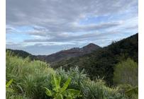 Fincas y Casas Campestres, Venta, Dagua - $610.000.000