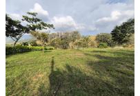 Lotes, Venta, Palmira - $220.000.000