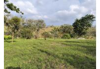 Lotes, Venta, Palmira - $220.000.000