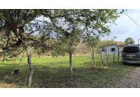 Lotes, Venta, Palmira - $220.000.000