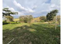 Lotes, Venta, Palmira - $220.000.000