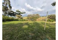 Lotes, Venta, Palmira - $220.000.000