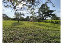 Lotes, Venta, Palmira - $220.000.000