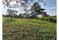 Lotes, Venta, Palmira - $220.000.000