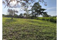 Lotes, Venta, Palmira - $220.000.000